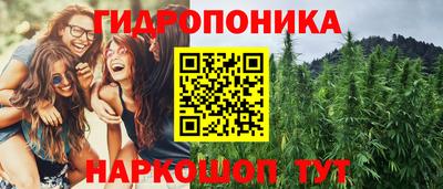 дживик Кунгур