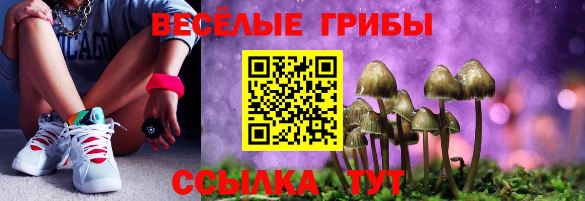 Галлюциногенные грибы мухоморы Саратов